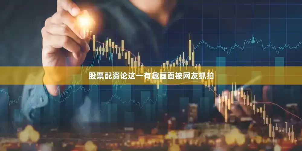 股票配资论这一有趣画面被网友抓拍