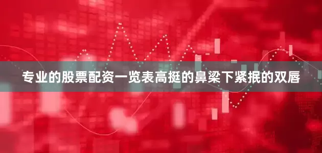 专业的股票配资一览表高挺的鼻梁下紧抿的双唇