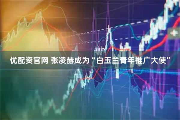 优配资官网 张凌赫成为“白玉兰青年推广大使”